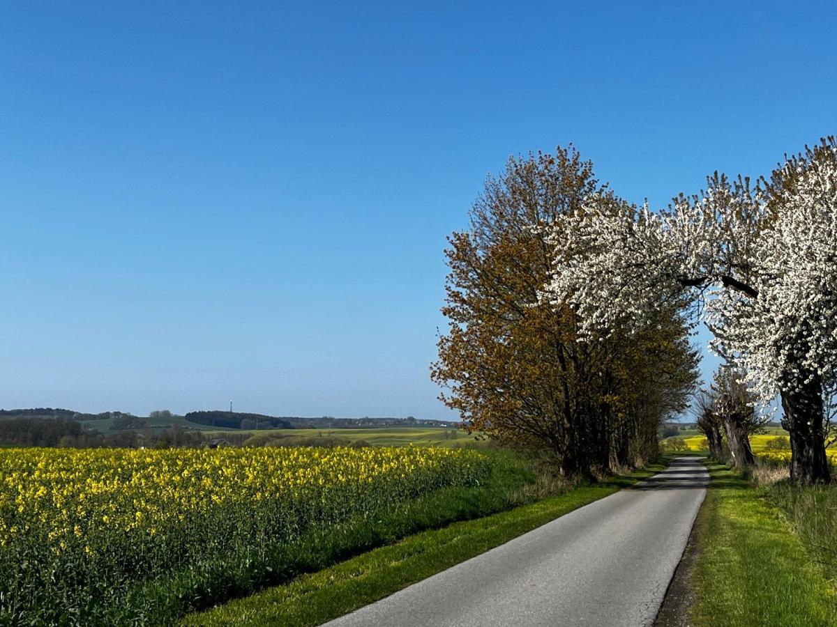 Gut Manderow An Der Ostsee Hohenkirchen  Zewnętrze zdjęcie